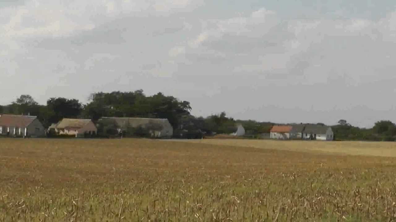 Fácánkert