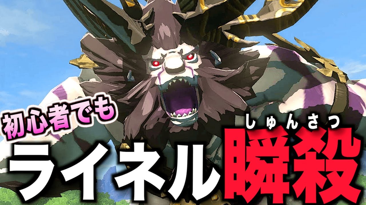 初心者でも簡単にライネルを倒す方法！夜光装備×近衛の両手剣×モルドラジークのアゴ骨で白銀ライネルも蹂躙しよう