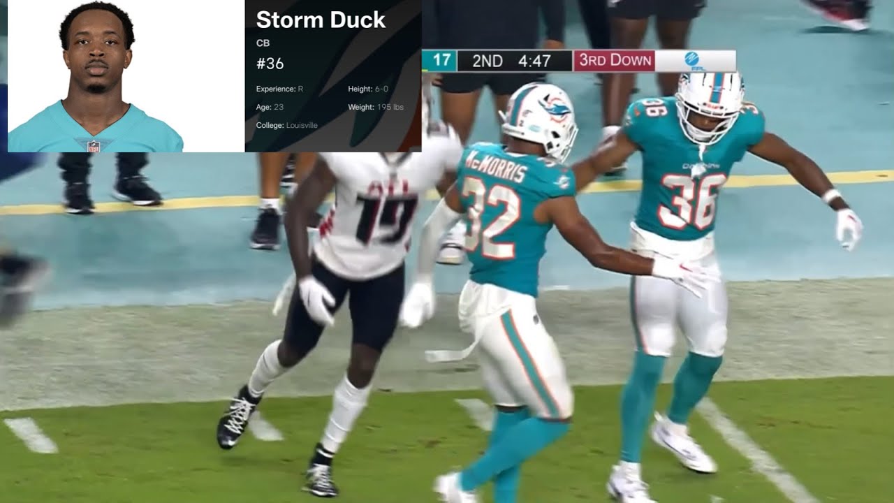 Storm Duck