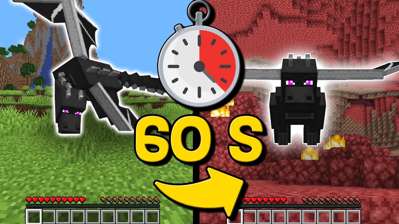 Minecraft, ma LA DIMENSIONE CAMBIA OGNI 60 SECONDI... *imprevedibile*