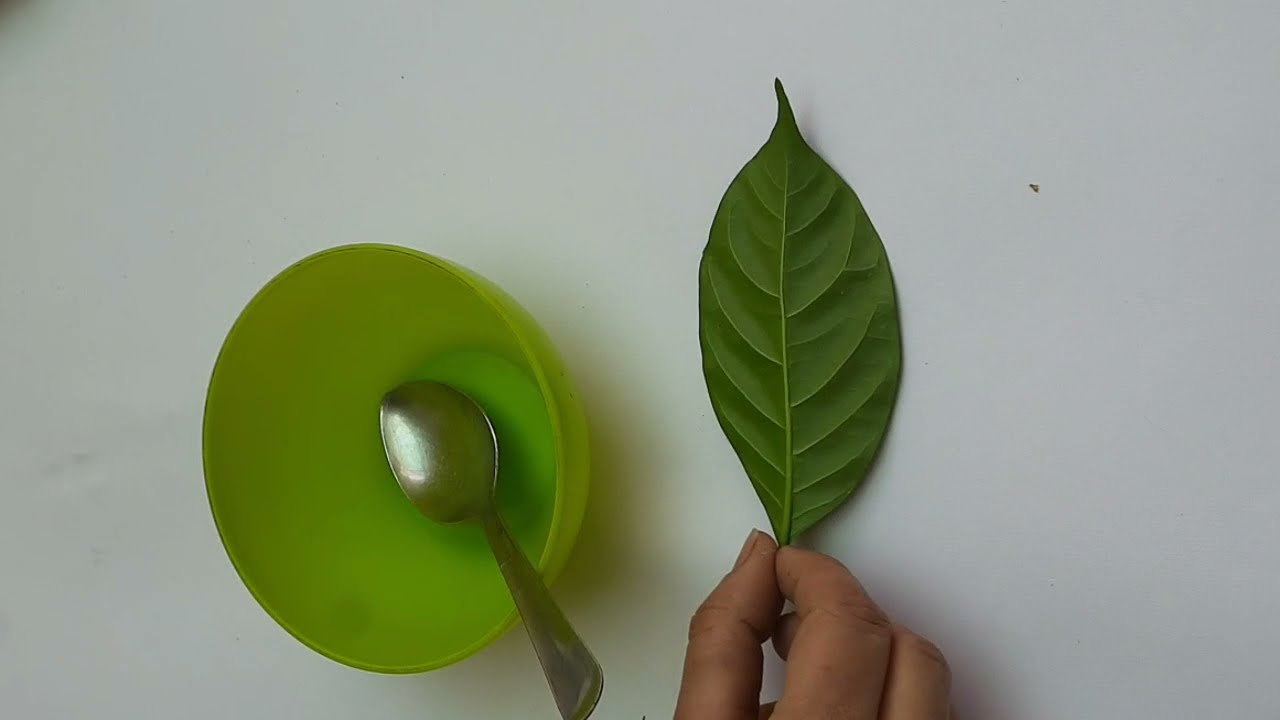 DIY leaf mold#molds making at  home #how to make leaf mold #mold craft#leaf casting craft#pop craft