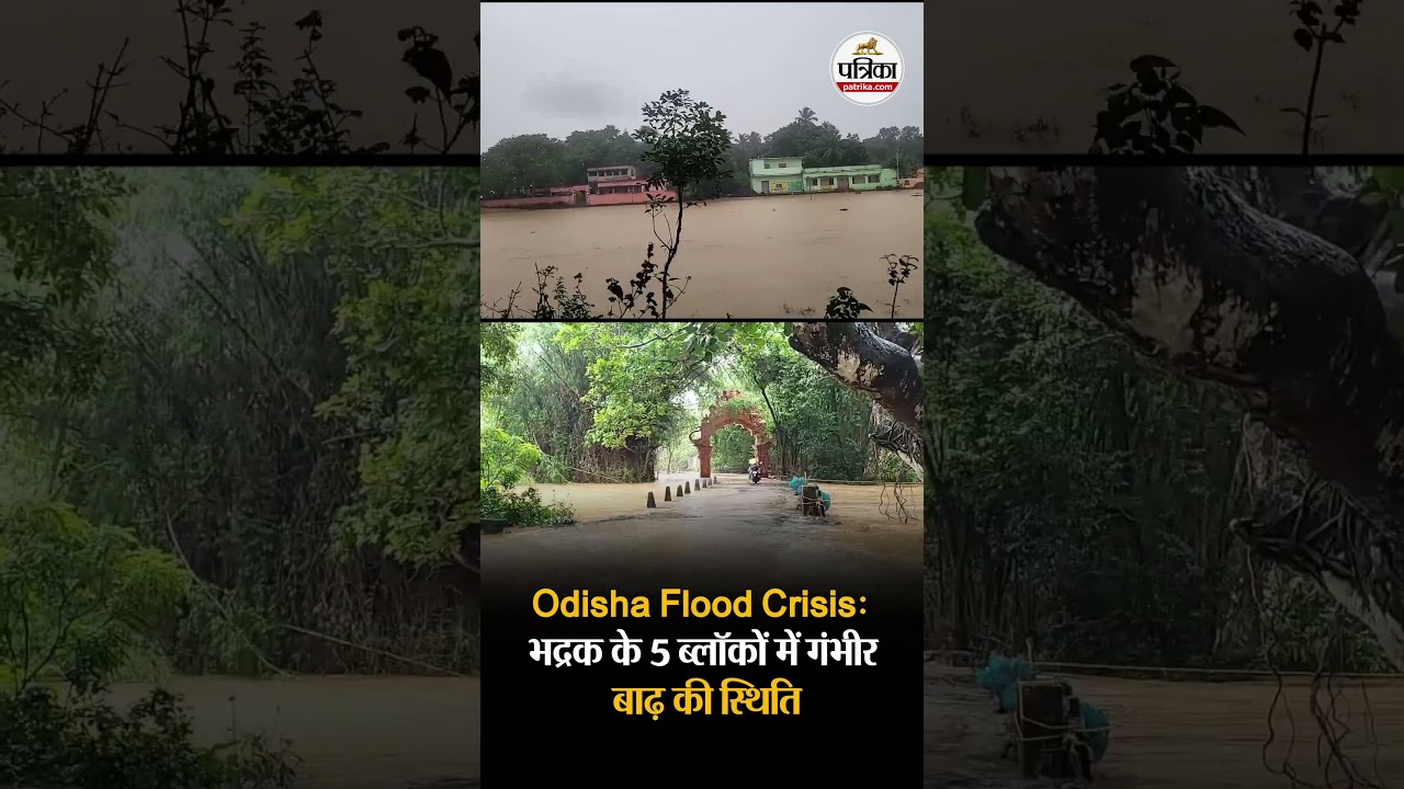Odisha Flood Crisis: Severe flood situation in 5 blocks of Bhadrak
