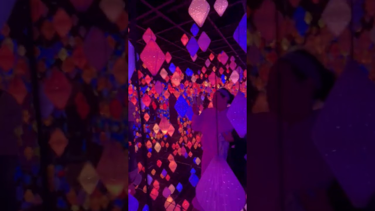 Precioso en New York 