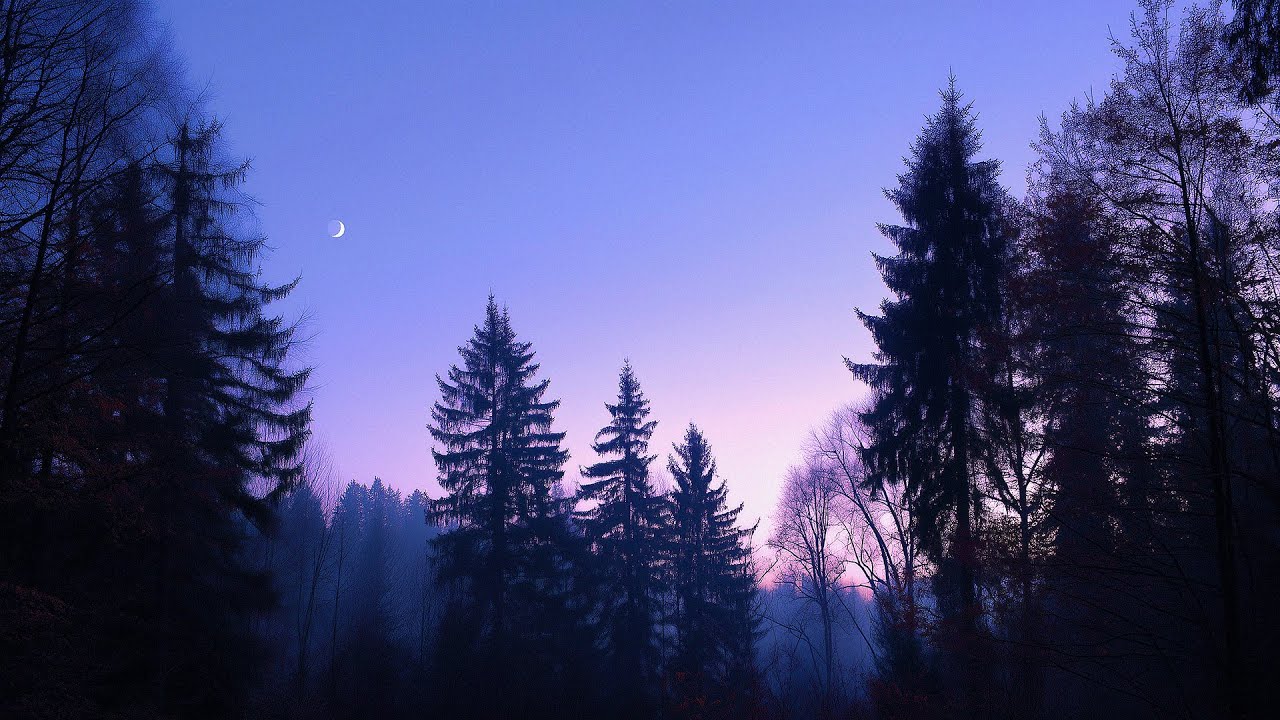 after midnight - cozy ambience for overthinking (sleep mix)