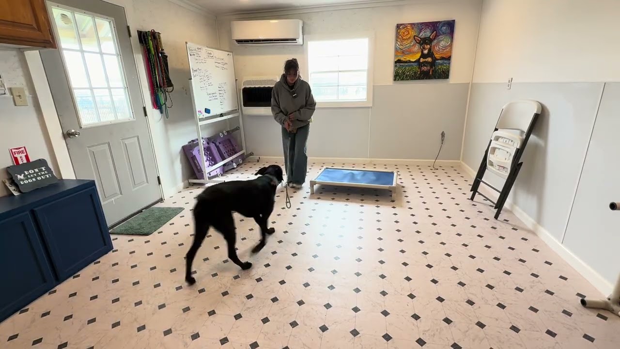 Gus place practice 