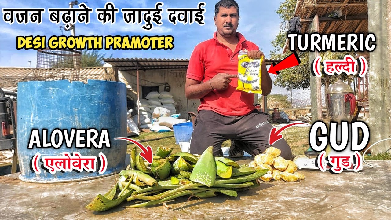 आज से growth promoter चालू 🐔 winter management🤑#khushipoultryvlogs
