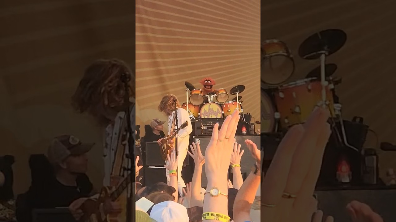 Animal (of The Muppets) joins My Morning Jacket at Newport Folk Fest.