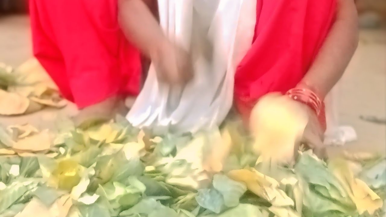Rajkumari dasi vlogs  लाइव है!