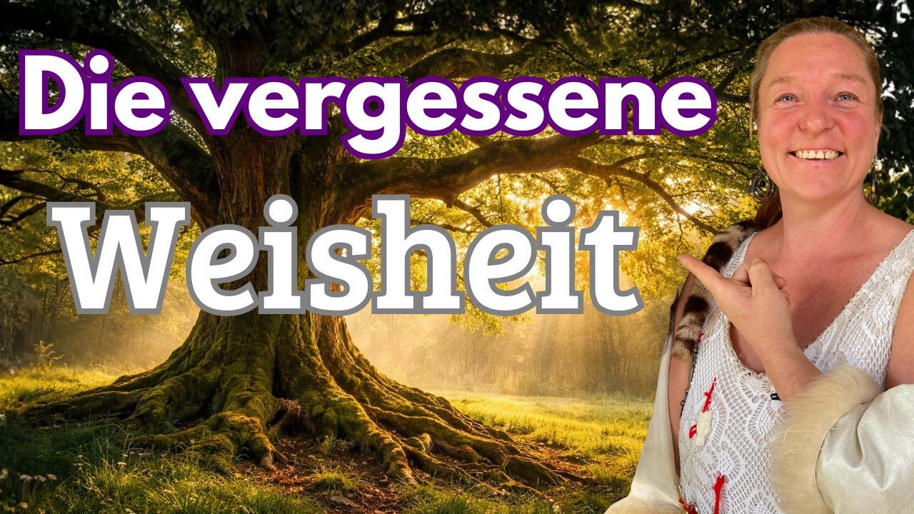 Die Weisheit eines Baumes – Was wir vergessen haben