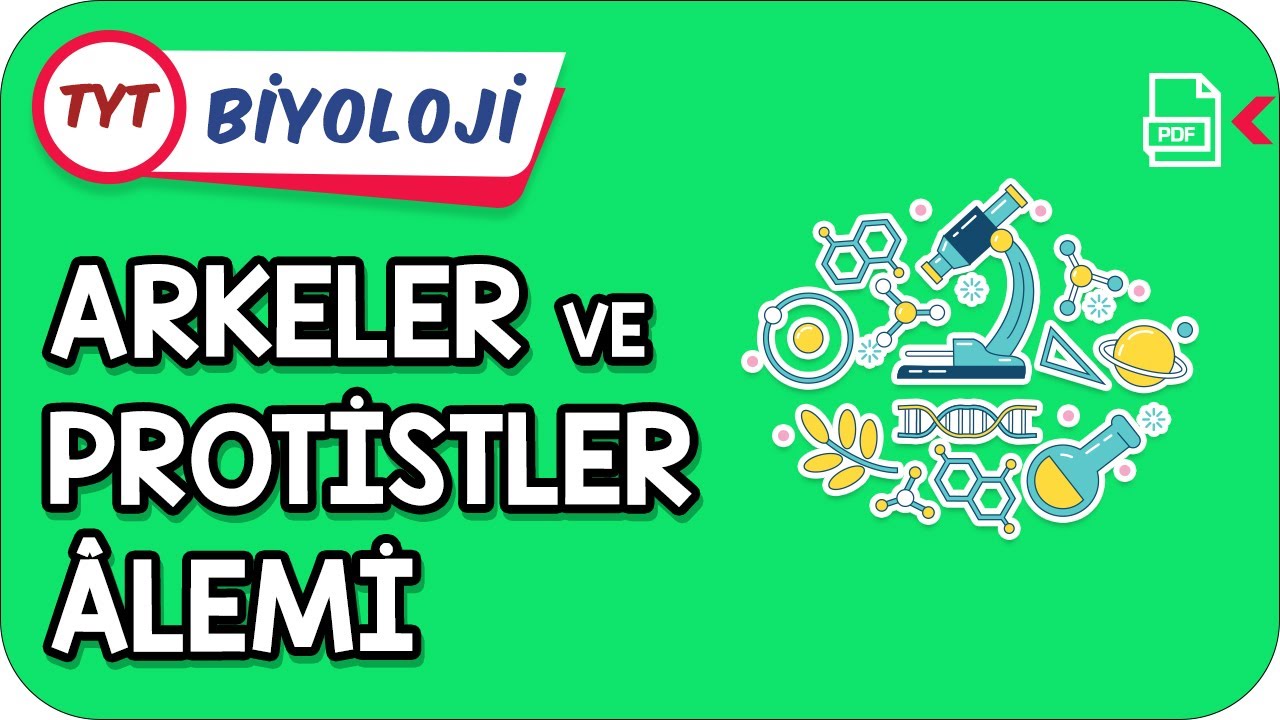 Arkeler ve Protistler Âlemi | TYT Hızlanış Kampı   #Kamp2021