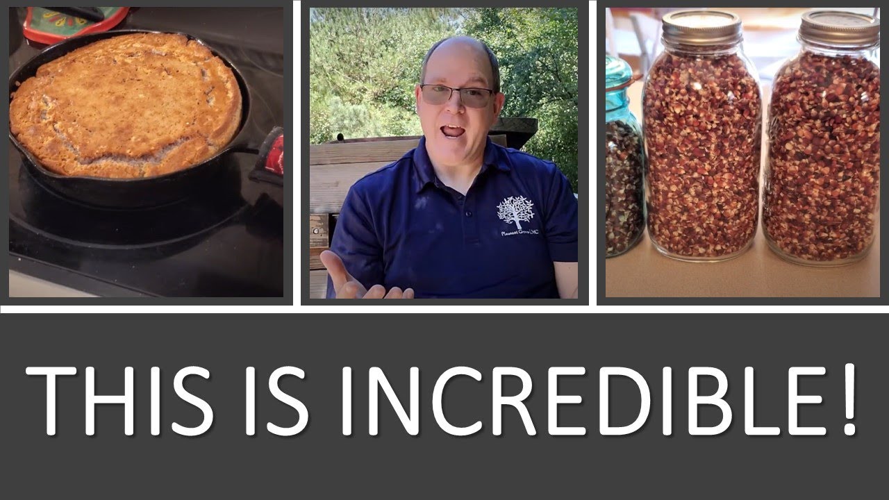 How to Harvest Field Corn and Make Grits and Corn Meal