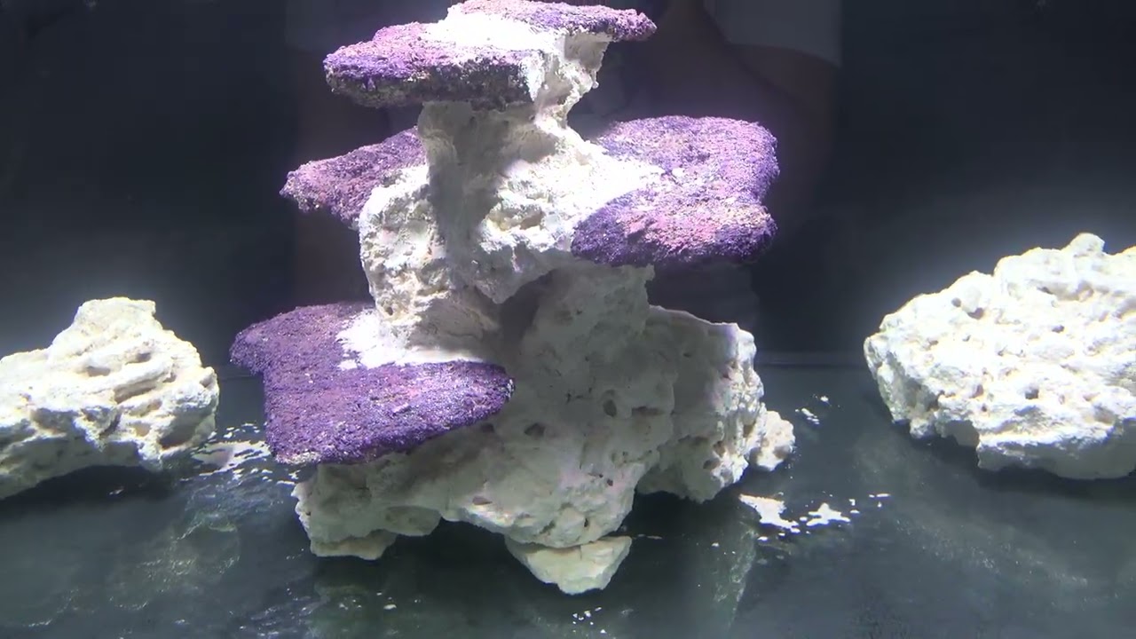 Waterbox Infinia Frag 125.4 | Starting the cycle (Aquascape, Lights, filled, water leaks)