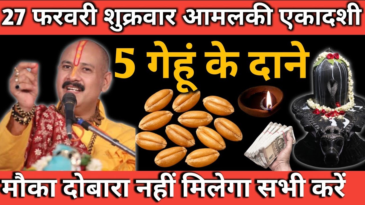 27 फरवरी शुक्रवार आमलकी एकादशी 2026 | 5 गेहूं के दाने से धन वर्षा | यह मौका दोबारा नहीं मिलेगा