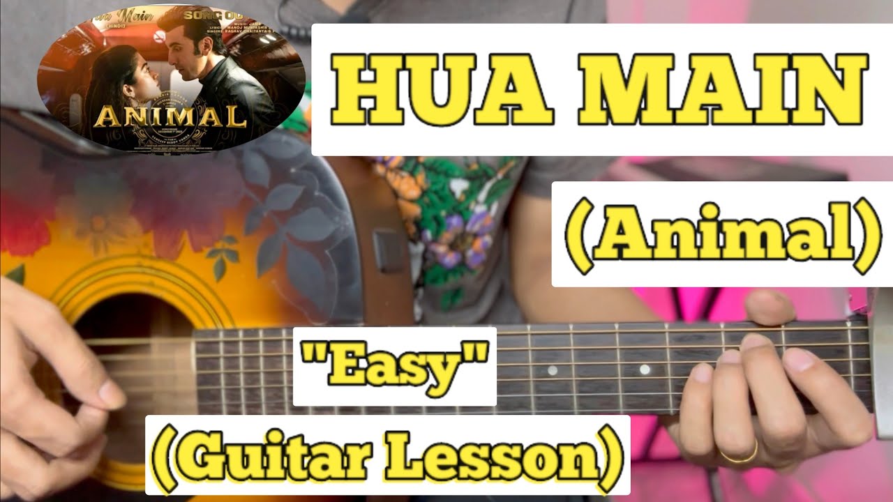 HUA MAIN - ANIMAL | Guitar Lesson | Easy Chords | (Raghav Chaitanya)