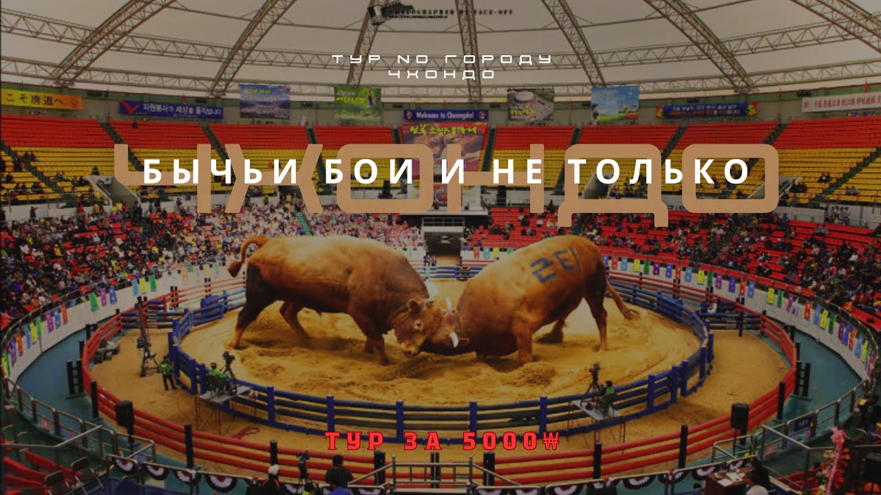 СЕКРЕТНЫЙ ТУР ЗА 5,000₩ Корейцы знают, туристы — нет