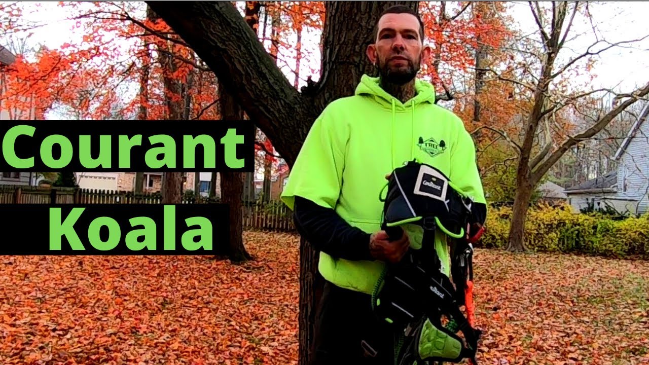 InDisTREE Review *Courant Koala*