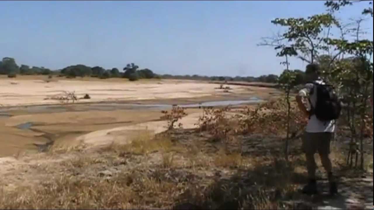 Walking safari in South Luangwa National Park, Zambia
