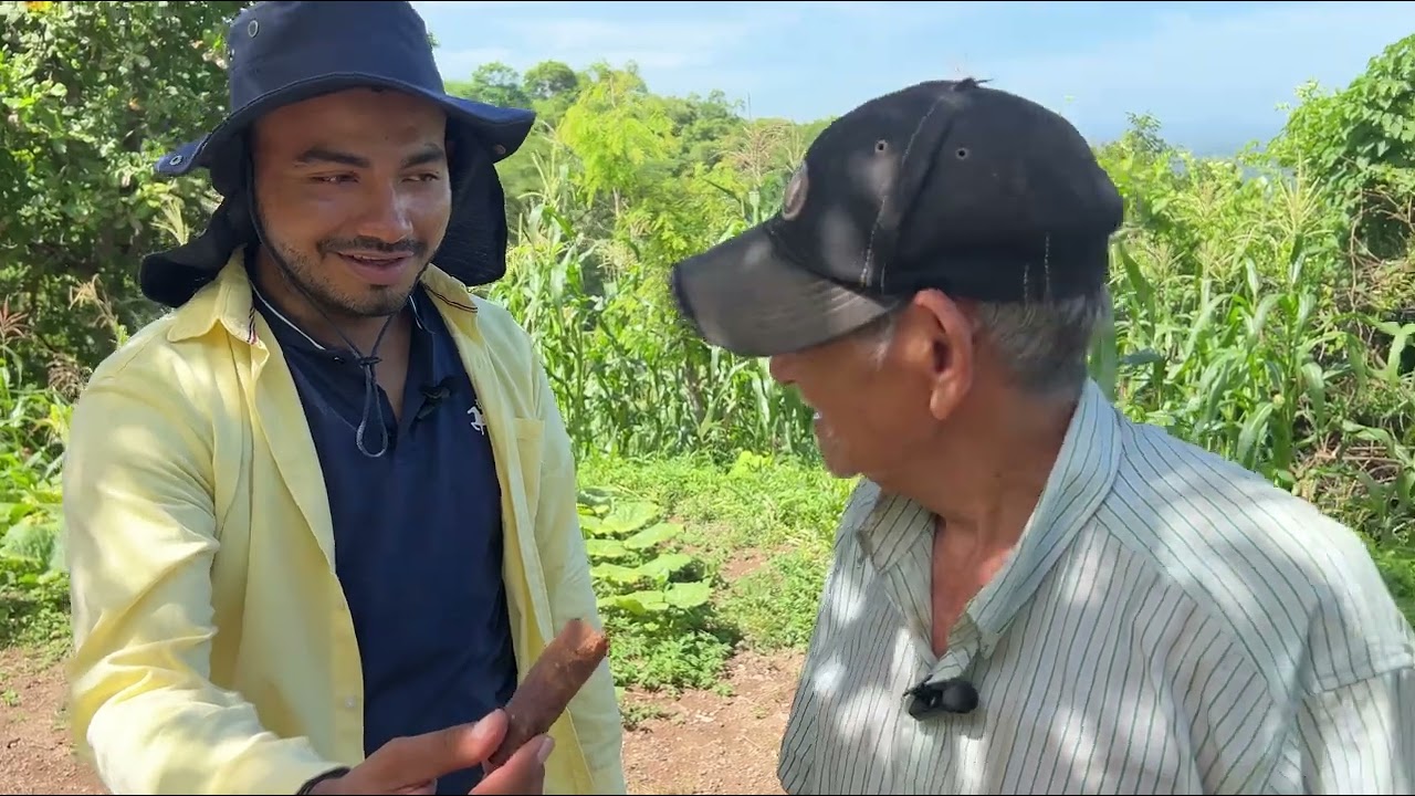 Visite a mi tío Juan Osorto y me invitó a su milpa.
