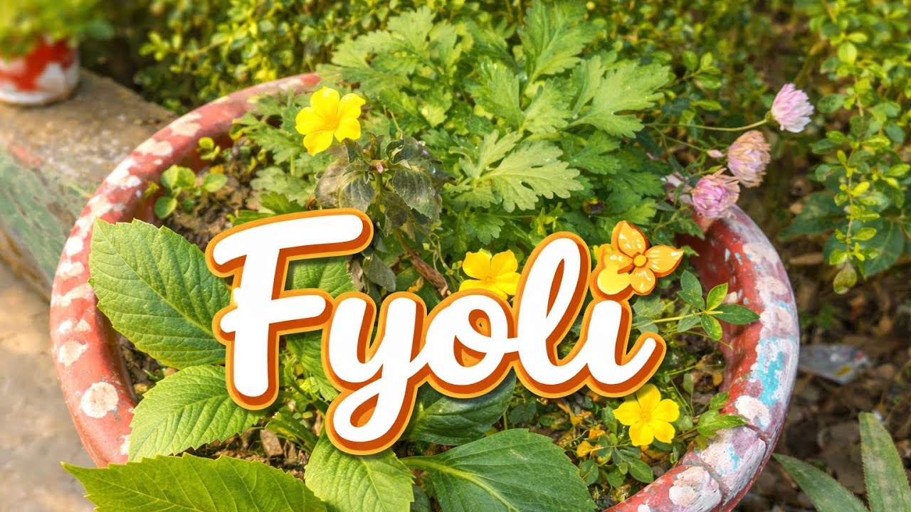 Itnaa sundrr 😍😍FYOLIii🌼