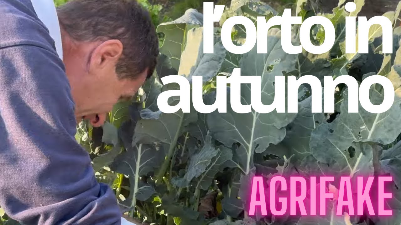 L'ORTO IN AUTUNNO