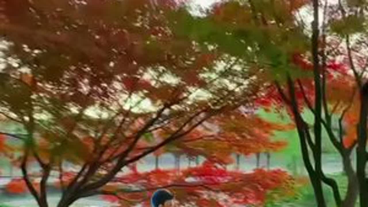 每日一歌#杜关聚&佚名《你在我心里无人能代替》情依依舒缓伤感