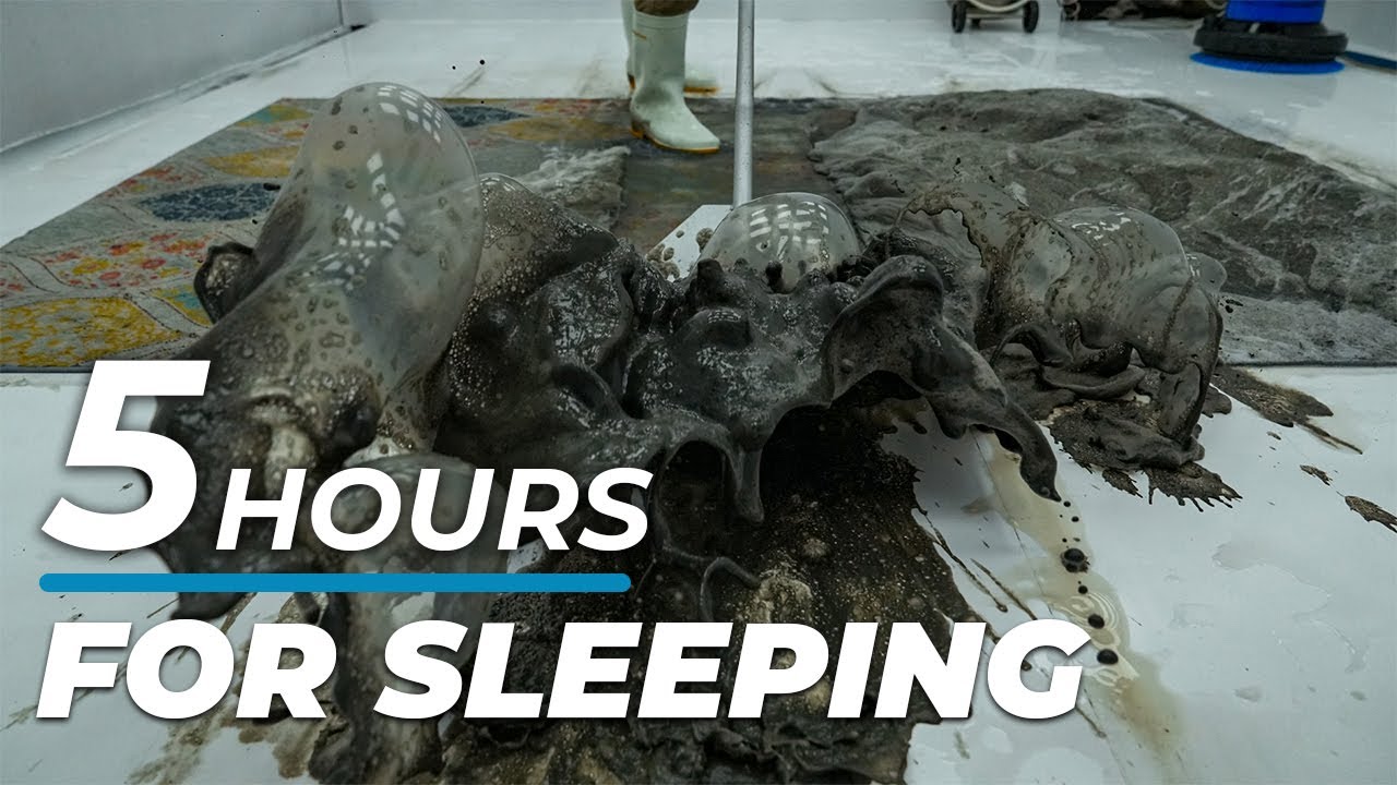 For Deep Sleep - 5 Hours Of Magic Carpet Cleaning To Enhance Sleep - Reduce Stress