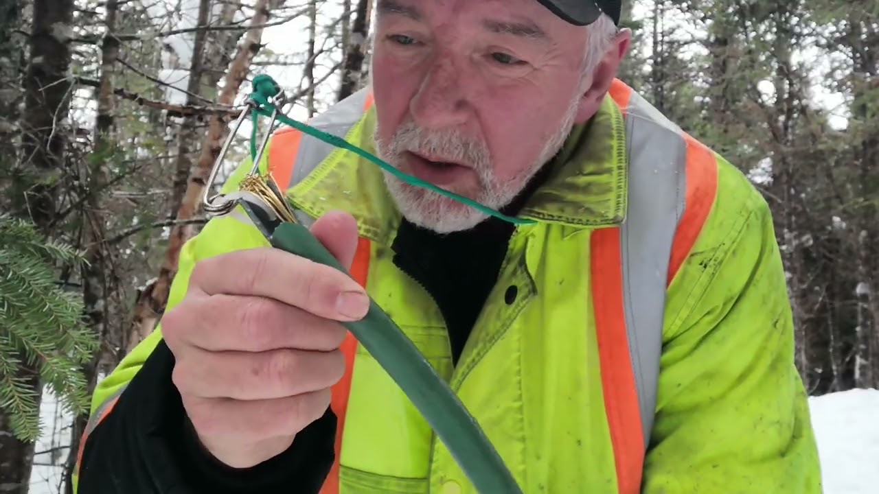 Terry is After the Rabbits Again - Last String For The Season - 2026