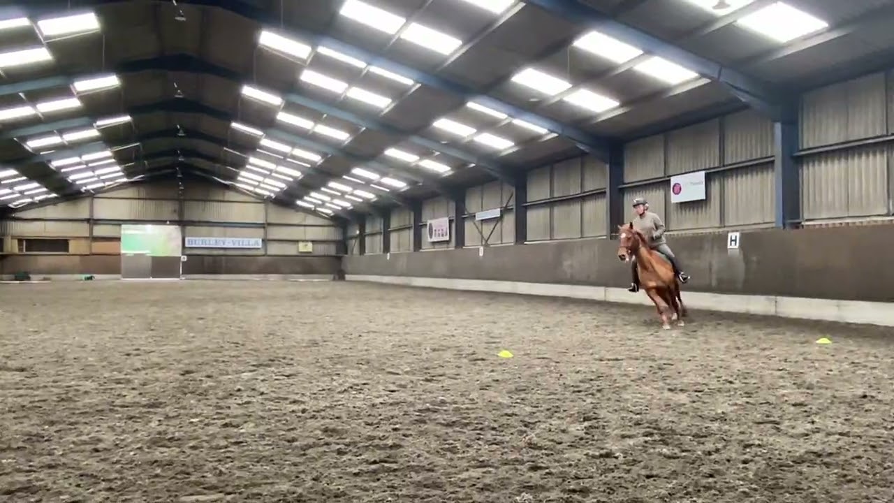 Feb e-riders dressage 1a 