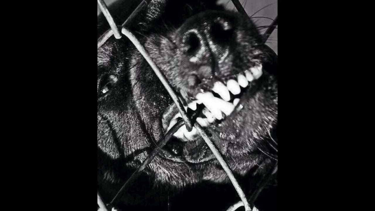 [FREE] ARDO440 Type Beat | ROUNDERS | Dark Underground Rap Instrumental | Prod. by BRV