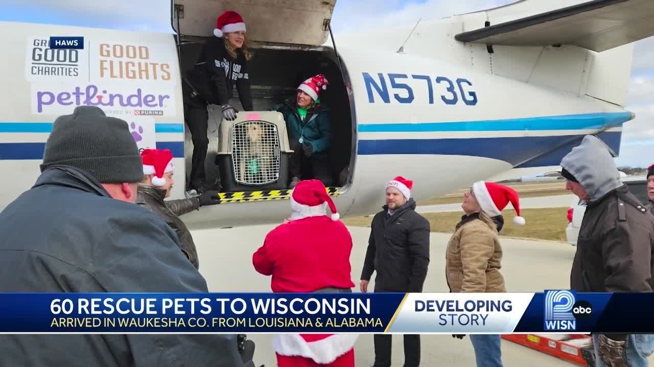 HAWS helps 60 shelter pets find homes for the holidays
