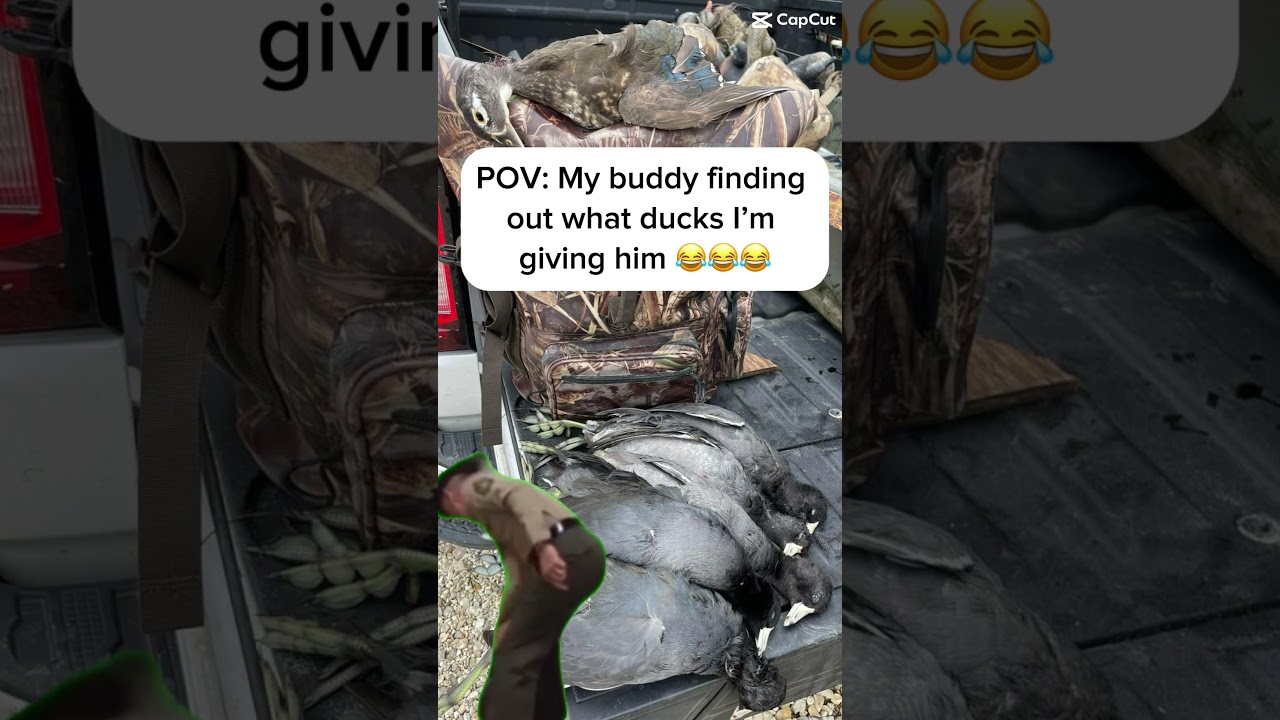 I hope he likes them 😂 #memes #fyp #hunting #duck #duckhunting #funny #hunter