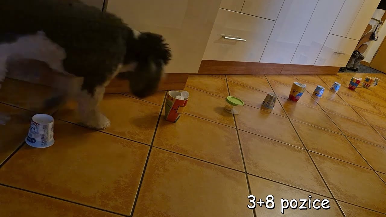 dlouhé řady 2
