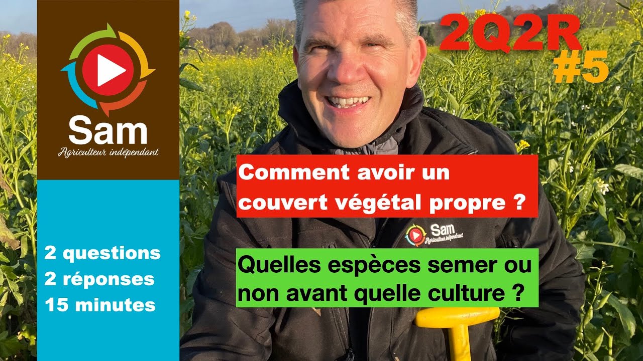 Comment avoir un couvert végétal propre ? Quelles espèces avant quelles cultures ? 2Q2R en 15 mn N°5