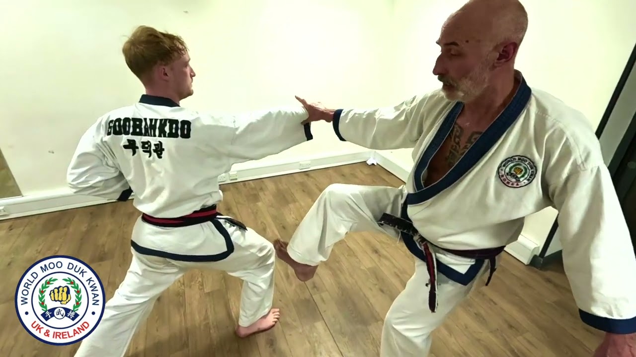 UK Soo Bahk Do. IL Soo Shik (one step sparring) 15+16 Explanation by Hedges SBN.