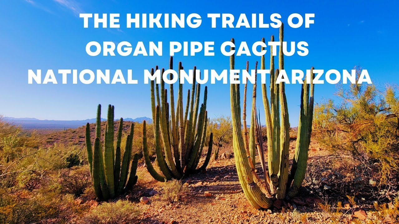 THE HIKING TRAILS OF ORGAN PIPE CACTUS NATIONAL MONUMENT ARIZONA