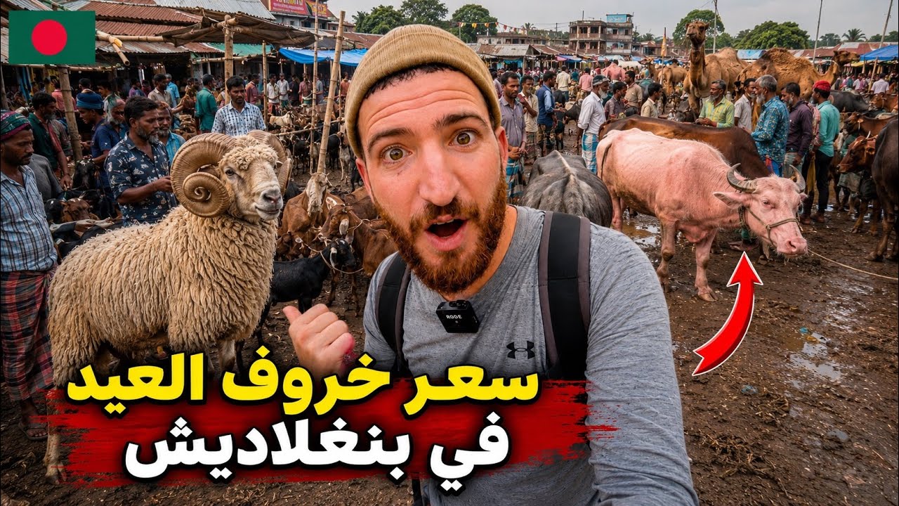 أسعار الأضاحي في أكبر سوق للمواشي في بنغلاديش🇧🇩أثمنه لم أتوقعها🤔#هشام_يسافر #بنغلاديش