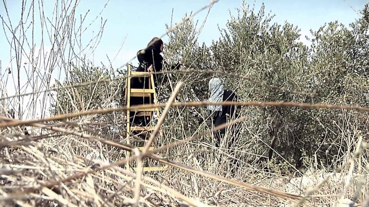 جولة في شوارع - باقه الشرقية - لي وطن - النسخة الأصلية