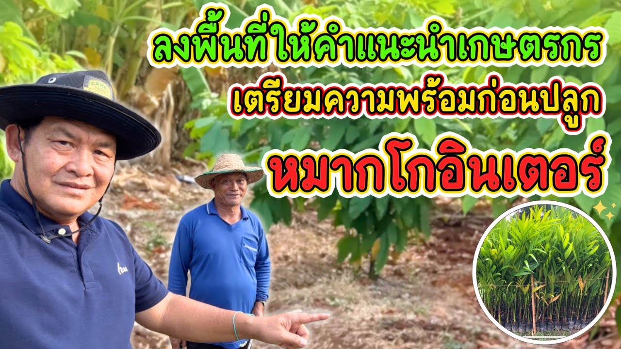 ลงพื้นที่ให้คำแนะนำเกษตรกร..เตรียมความพร้อมปลูกหมากโกอินเตอร์