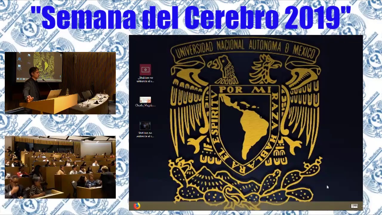 Semana del Cerebro 2019
