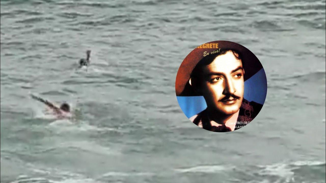 Simulacro víctima activa