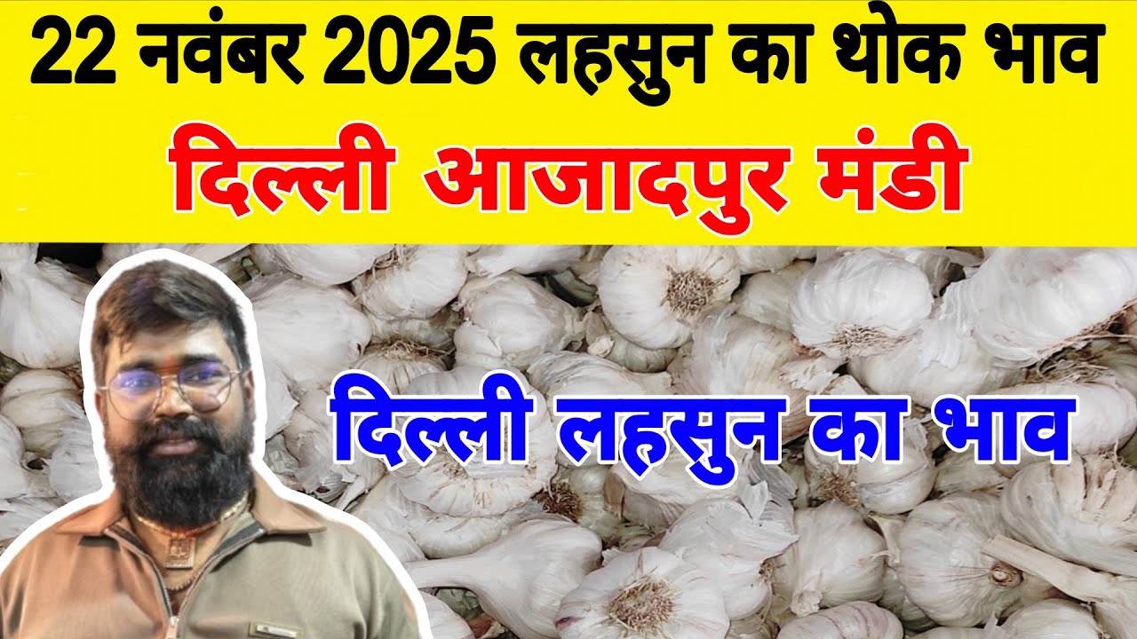 22 Nov 25 | Today Garlic Market Price | Garlic Price The Shocking Prediction #mandirates #garlic