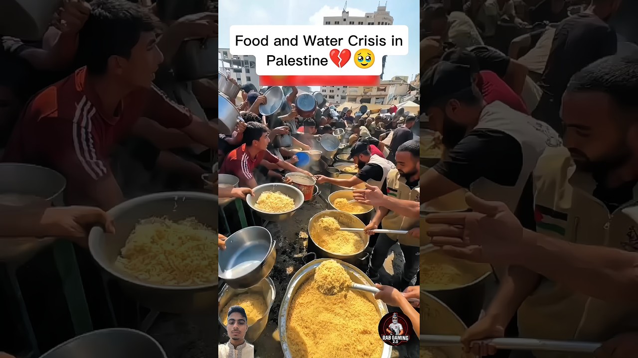 Food and Water Crisis in Palestine💔🥹 #foryou #viralvideo #palestine #gaza