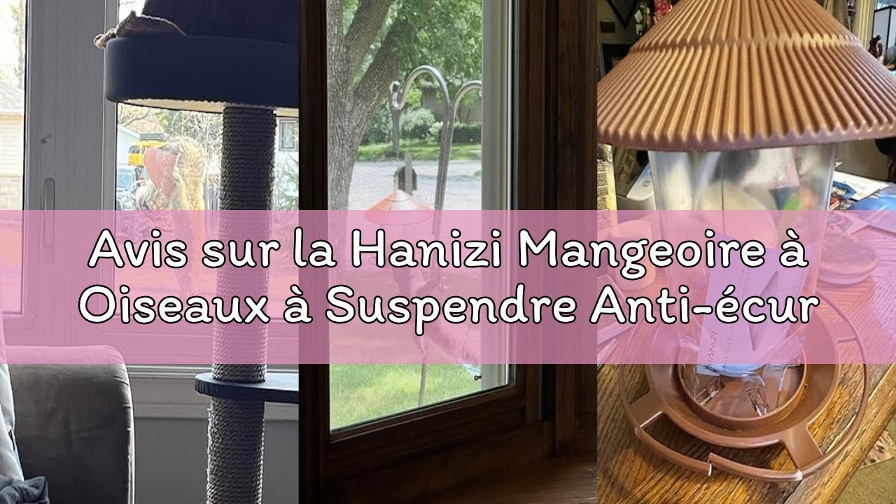 Avis sur la Hanizi Mangeoire à Oiseaux à Suspendre Anti-écureuil pour graines d'oiseaux Sauvages, ex