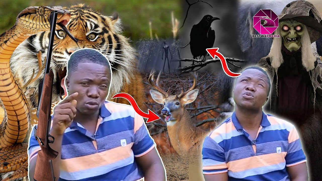 😳Eii:Wizard hunter shares how a bird turn to giant man after deer spoke to him: Mysteries in hunting