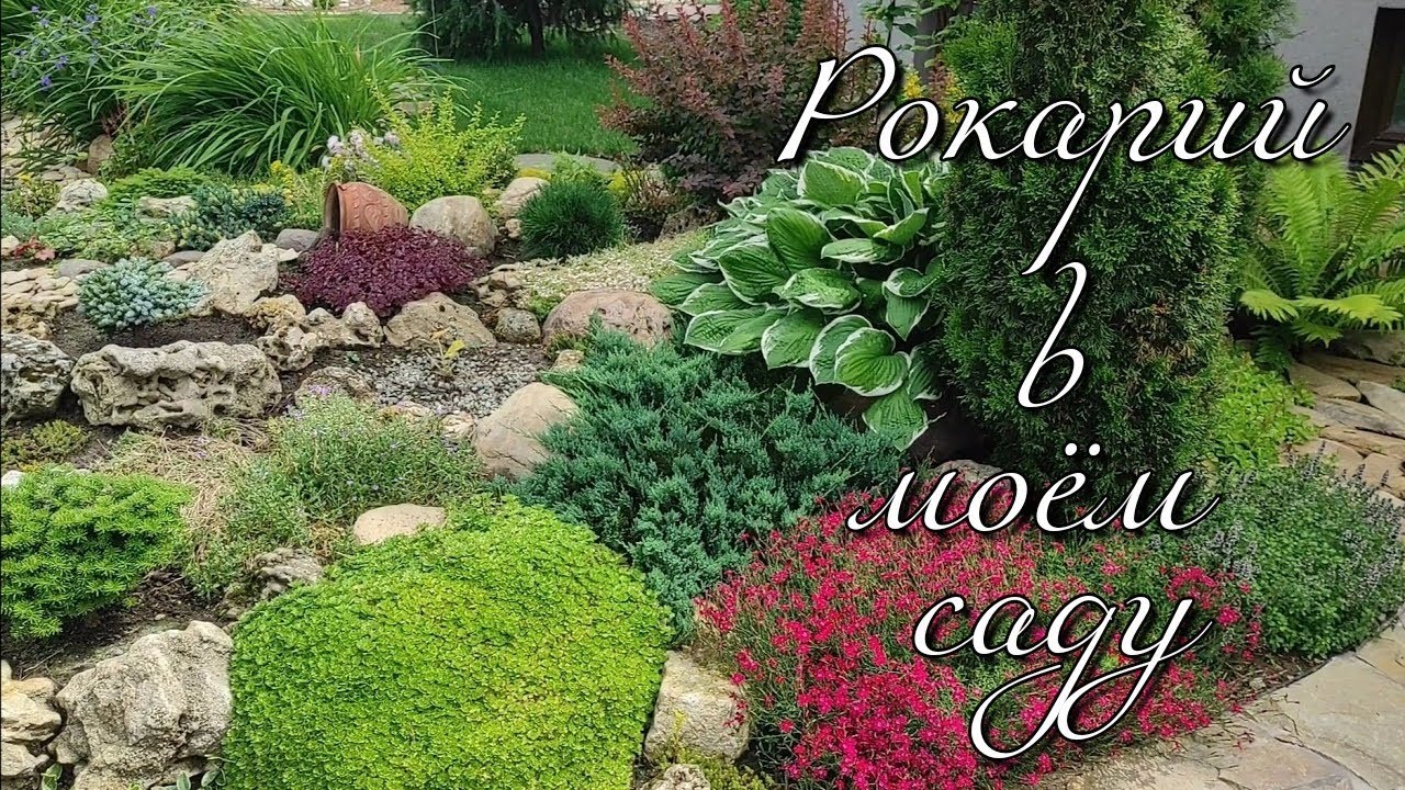 Рокарий своими руками. Сорта карликовых пихт, сосен и елей для каменистой горки. Garden design.