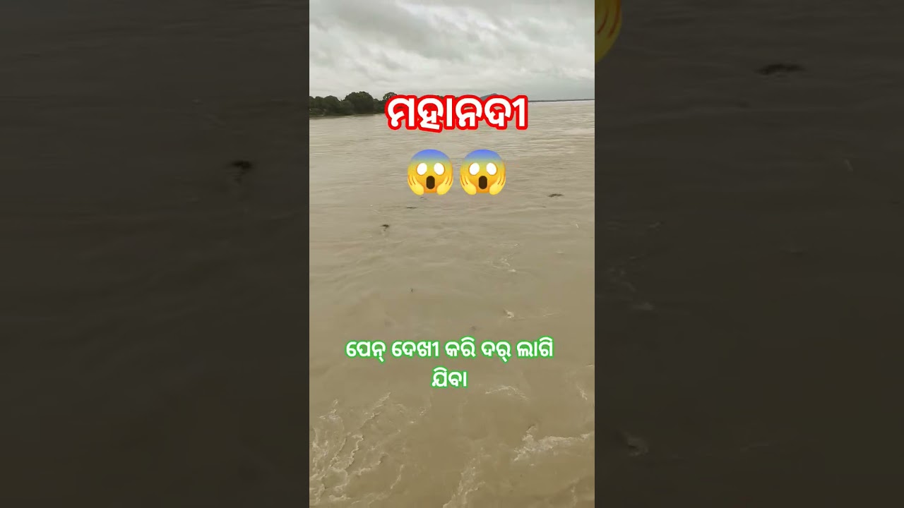 Mahanadi Flood #shortsfeed #trending #umasambalpurisong #flood #mahanadi #hirakud #viral #river  #yt