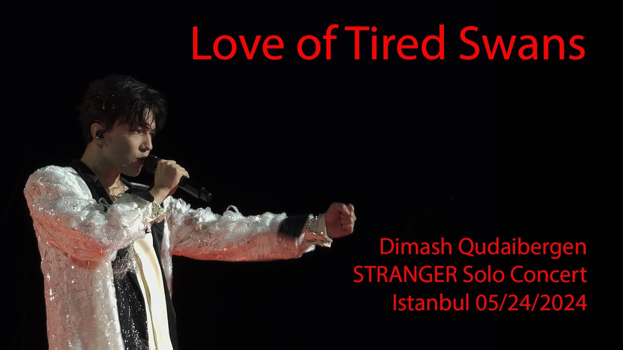 Dimash Qudaibergen - Love of Tired Swans, STRANGER Istanbul solo concert 05/24/2024 [FANCAM]