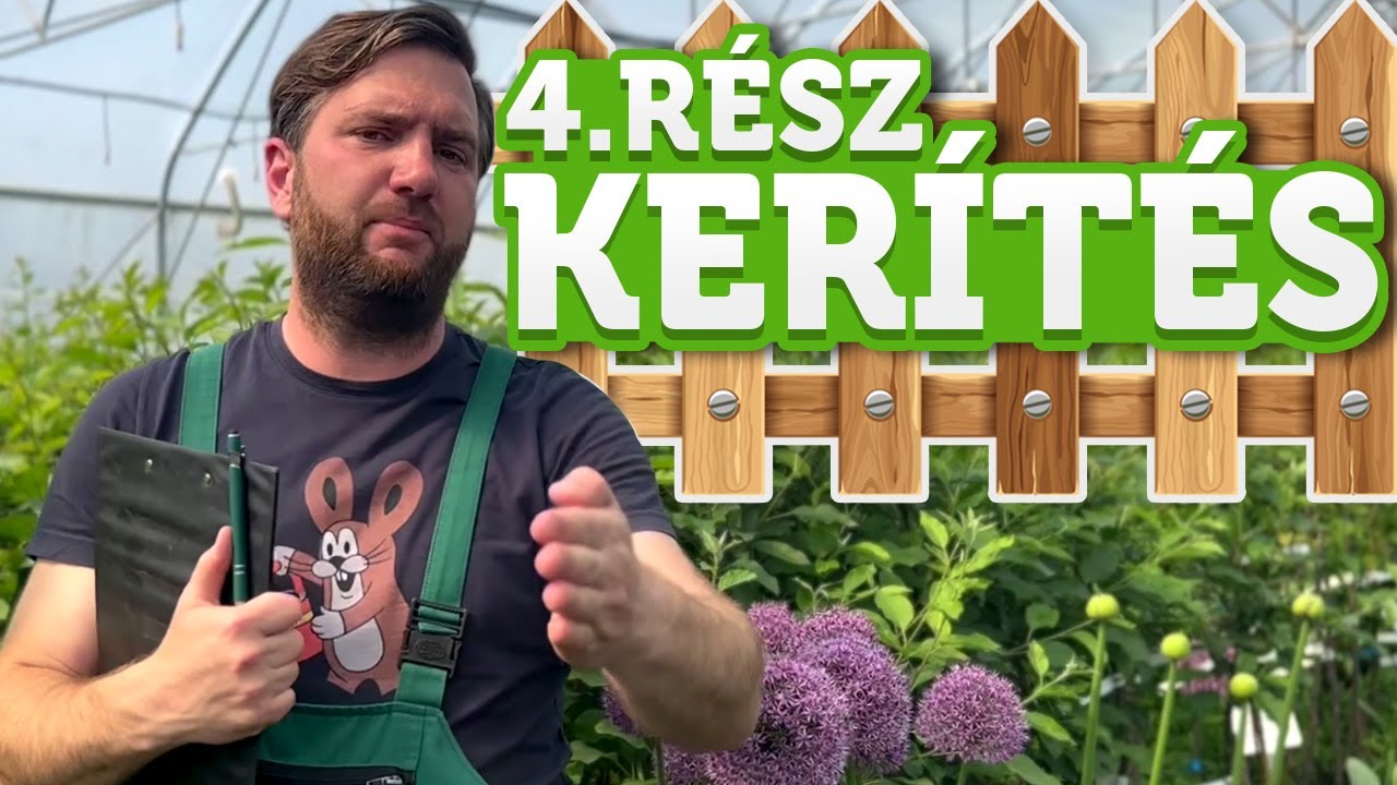 Mit tegy&uuml;nk az &Aacute;LOMKERT&Eacute;RT?  - 4. r&eacute;sz | Megyeri Szabolcs