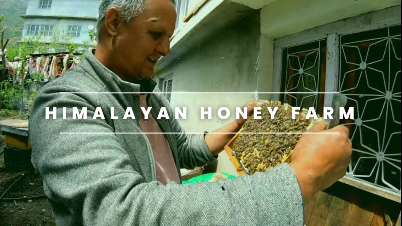 Visit to a Himalayan Honey Farm in Manali || Apiculture ||