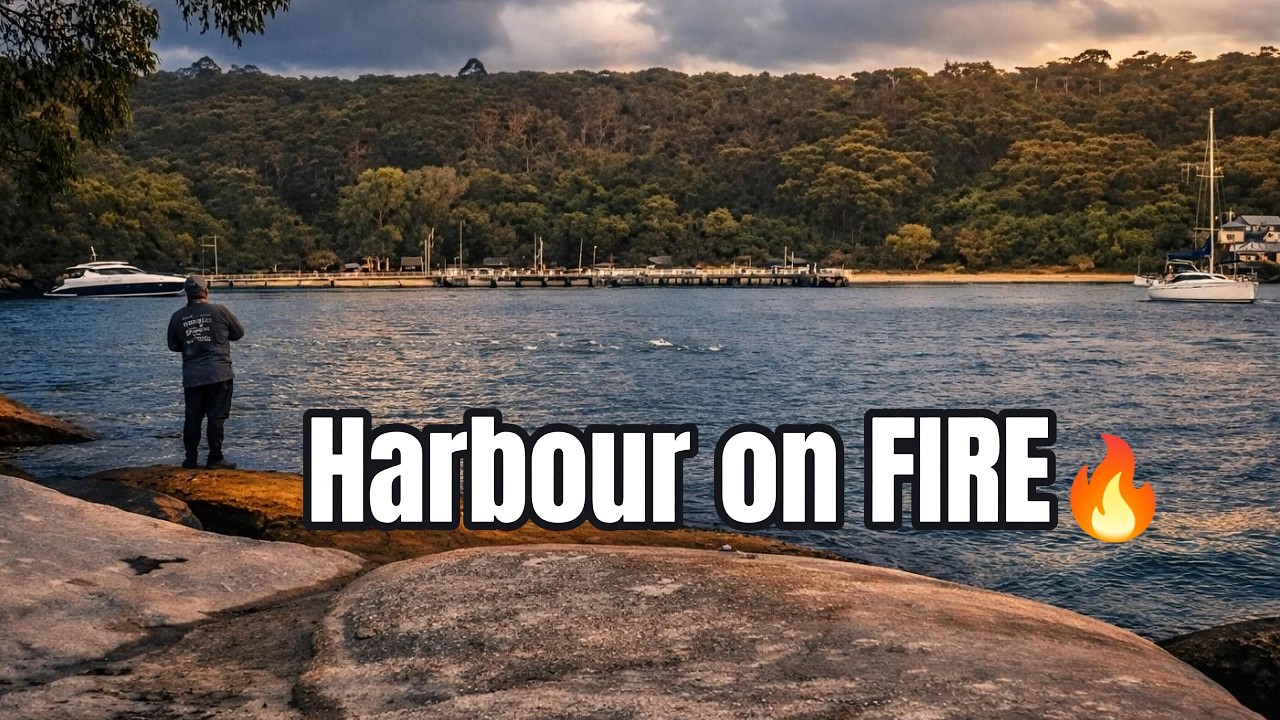 Surprised Harbour visit